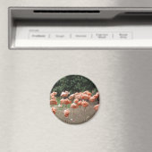 Flamingo Magneet (Insitu (Vaatwasser))