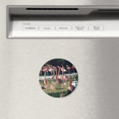 Flamingo Magnet Magneet (Insitu (Vaatwasser))