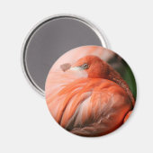 Flamingo Magnet Magneet (Voorkant / Achterkant)