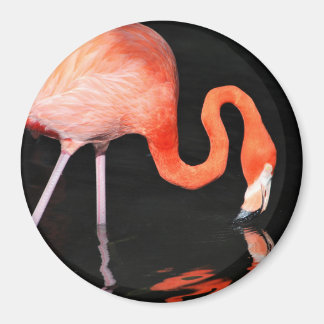 Flamingo Magnet Magneet