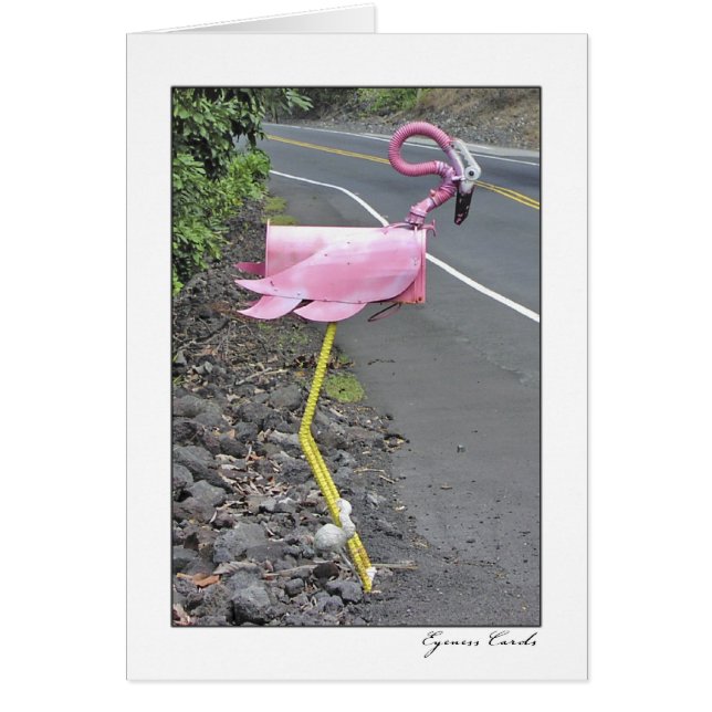 Flamingo Mailbox (Voorkant)