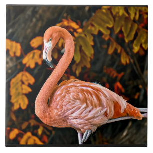 Flamingo, mooie walsvogel tegeltje