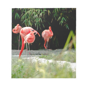 flamingo notitieblok