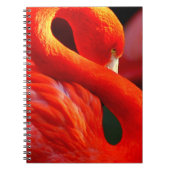 Flamingo Notitieboek (Voorkant)