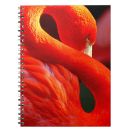 Flamingo Notitieboek