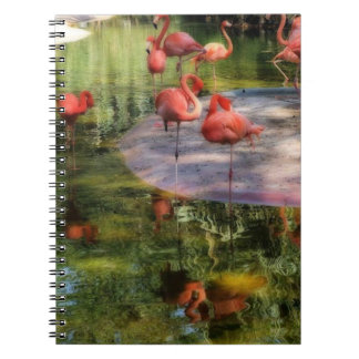 Flamingo Notitieboek