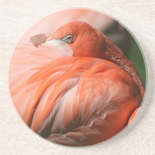 Flamingo Onderzetter (Voorkant)