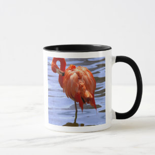 Flamingo op één been in het water mok