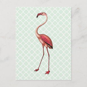 Flamingo op Mint Quatrefoil Briefkaart