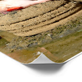Flamingo op zijn nest poster (Hoek)