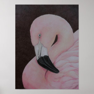 Flamingo Original Bird Art Print