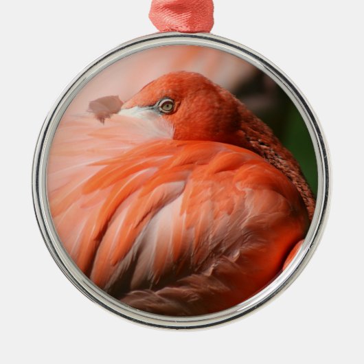 Flamingo Ornament (Voorkant)