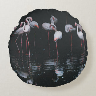 FLAMINGO OVER DARK ACHTERGROND ROND KUSSEN