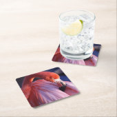 Flamingo Papieren Onderzetters (Insitu)