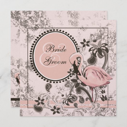 Flamingo Paradise Kaart (Voorkant / Achterkant)