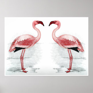 FLAMINGO PARK Flamingo Flock Fine Art Print