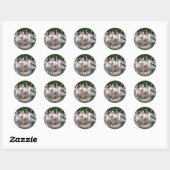 Flamingo Party Ronde Sticker (Vel)