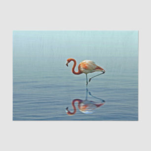 Flamingo Pink Reflection Wildlife Foto Tissuepapier