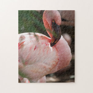 Flamingo Portrait Legpuzzel