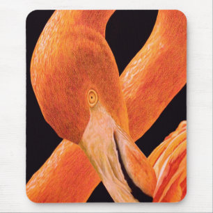 Flamingo Portrait Muismat