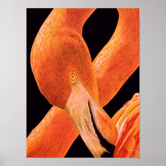 Flamingo Portrait Poster (Voorkant)
