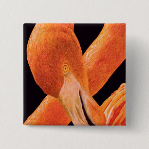 Flamingo Portrait Vierkante Button 5,1 Cm