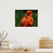 flamingo poster (Keuken)