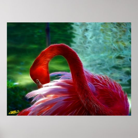 Flamingo Poster (Voorkant)