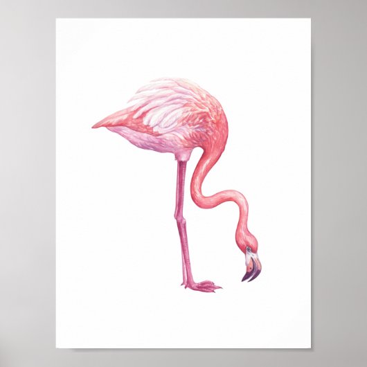 Flamingo Poster (Voorkant)