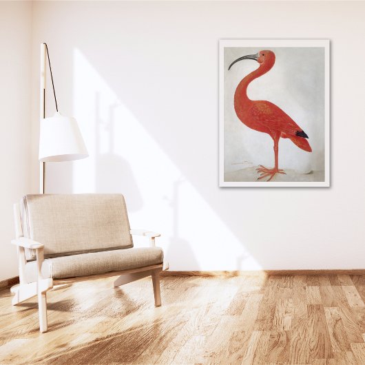 Flamingo -  Poster voor fijne kunst