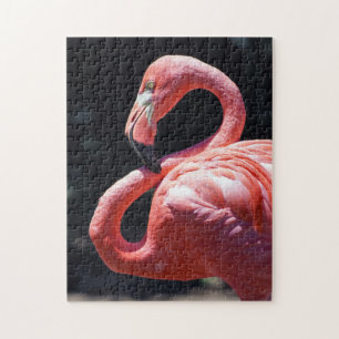 Flamingo Puzzle Legpuzzel