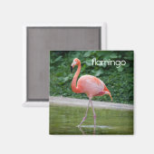 Flamingo Refkoelkast Magnet Magneet (Voorkant / Achterkant)