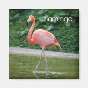 Flamingo Refkoelkast Magnet Magneet