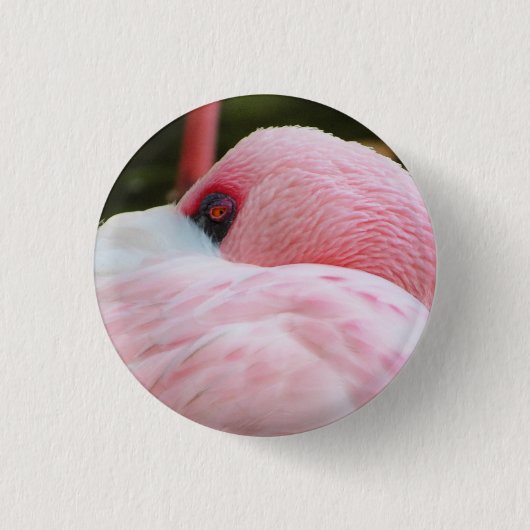 Flamingo Ronde Button 3,2 Cm (Voorkant)