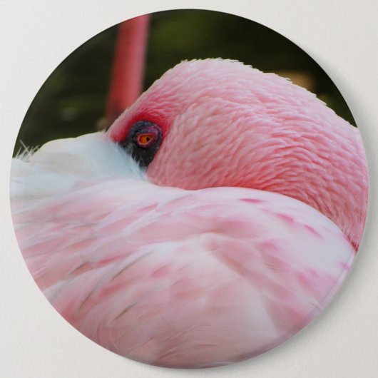 Flamingo Ronde Button 6,0 Cm (Voorkant)
