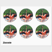 Flamingo Ronde Sticker (Vel)