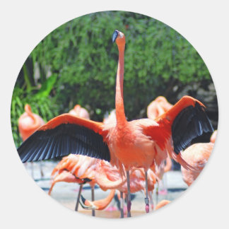Flamingo Ronde Sticker
