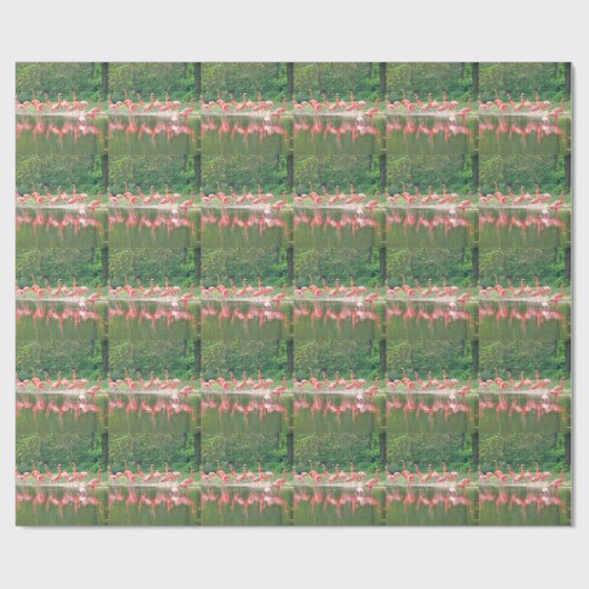 Flamingo Row bij het Leermeer, vogelroze wild Cadeaupapier (Vlak)