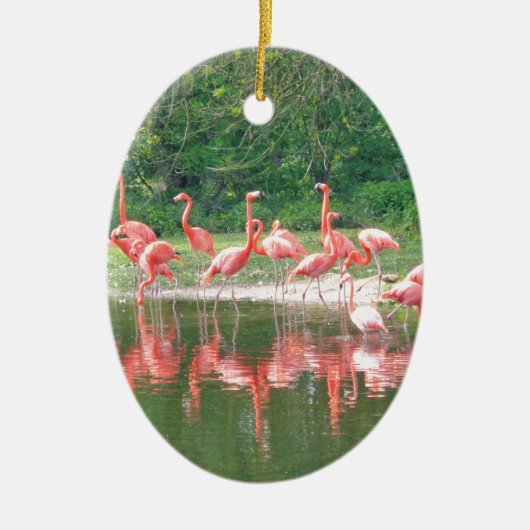 Flamingo Row bij het Leermeer, vogelroze wild Keramisch Ornament (Voorkant)