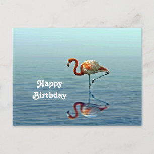 Flamingo Roze Reflectie Wildlife Foto Verjaardag Briefkaart