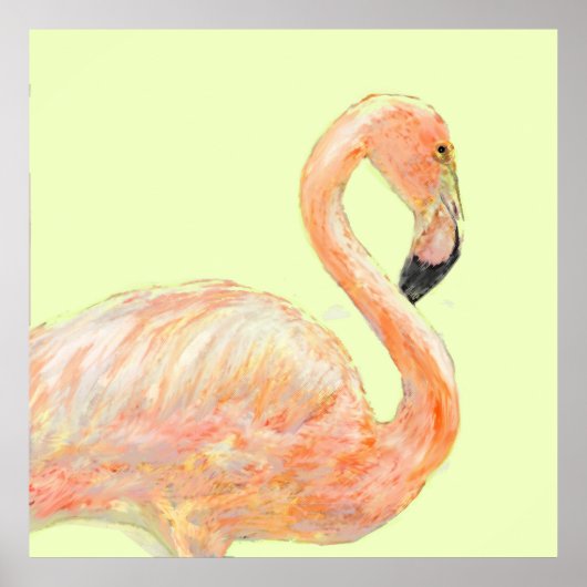 flamingo sketch poster (Voorkant)