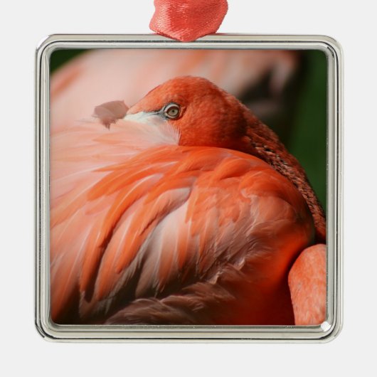 Flamingo Square Ornament (Voorkant)