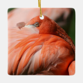 Flamingo Square Ornament
