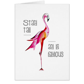 Flamingo Stand-all is een fabelachtig, grappig Gez