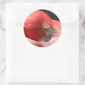Flamingo Sticker (Tas)