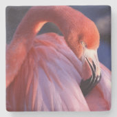 Flamingo Stone Onderzetter (Voorkant)