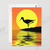 Flamingo Sunset Briefkaart (Voorkant / Achterkant)