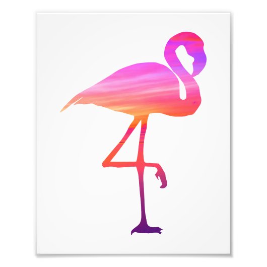 Flamingo Sunset Print Foto Afdruk (Voorkant)