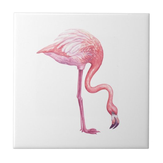 Flamingo Tegeltje (Voorkant)