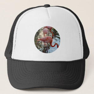 Flamingo Trucker Hoed Pet